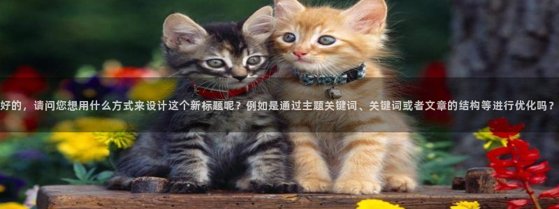 长征娱乐入口